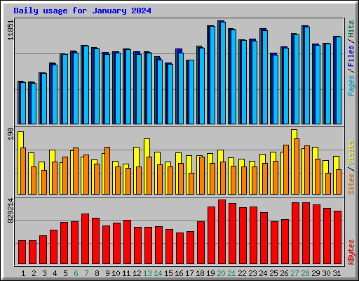 Daily usage for January 2024