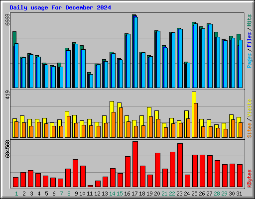 Daily usage for December 2024