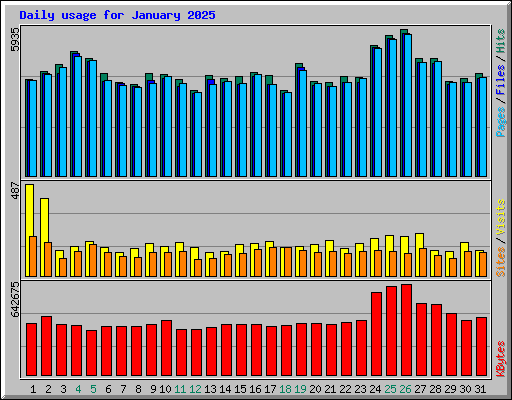 Daily usage for January 2025