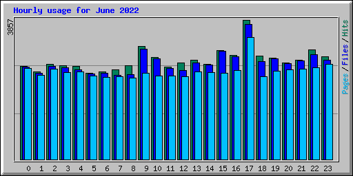 Hourly usage for June 2022