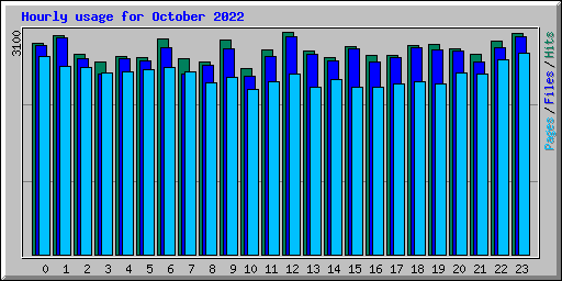 Hourly usage for October 2022