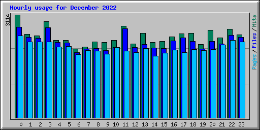 Hourly usage for December 2022