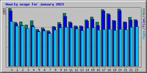 Hourly usage for January 2023