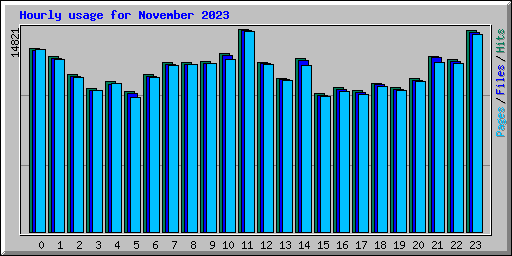 Hourly usage for November 2023