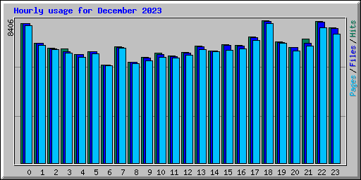 Hourly usage for December 2023