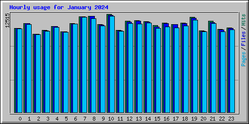 Hourly usage for January 2024