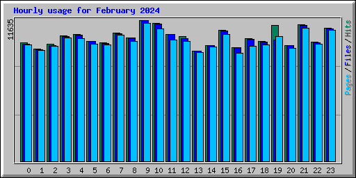 Hourly usage for February 2024