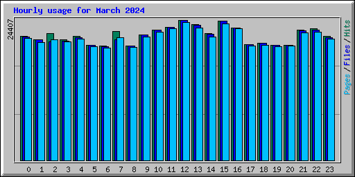 Hourly usage for March 2024