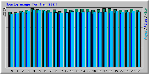 Hourly usage for May 2024