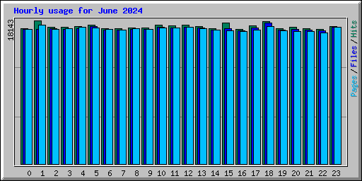 Hourly usage for June 2024