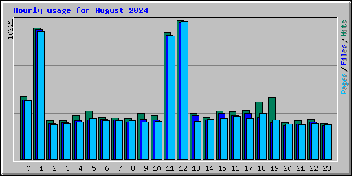 Hourly usage for August 2024