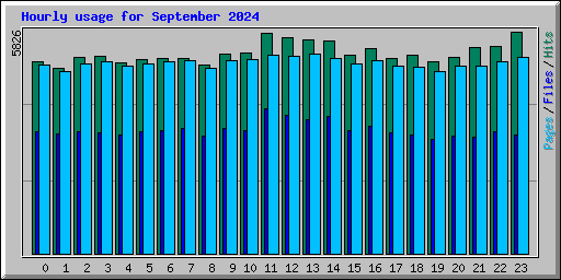 Hourly usage for September 2024