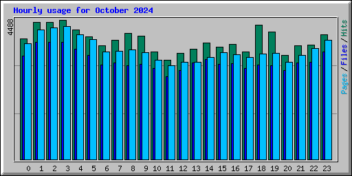 Hourly usage for October 2024