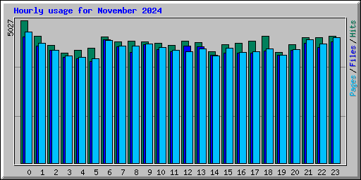 Hourly usage for November 2024