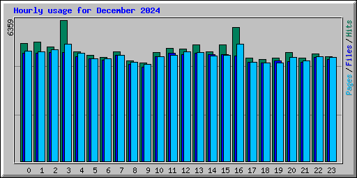 Hourly usage for December 2024