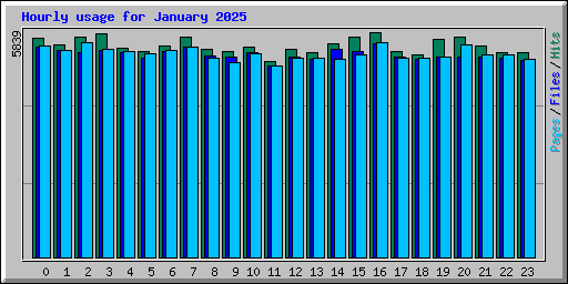 Hourly usage for January 2025