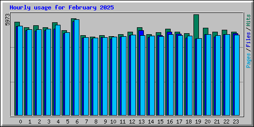 Hourly usage for February 2025