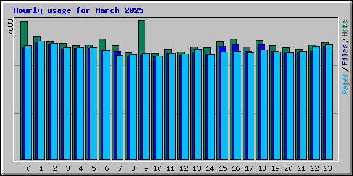 Hourly usage for March 2025