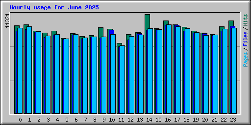 Hourly usage for June 2025