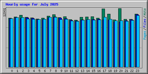 Hourly usage for July 2025