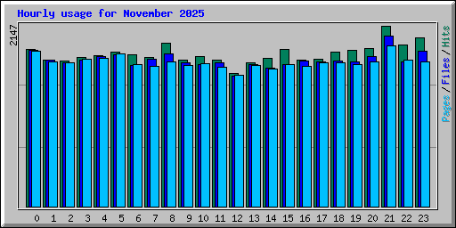 Hourly usage for November 2025