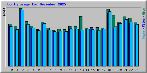 Hourly usage for December 2025